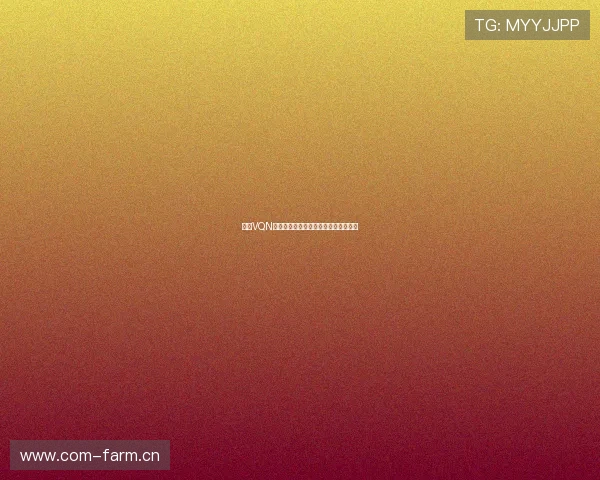 魔方VQN永久免费版全功能解析与实用操作指南